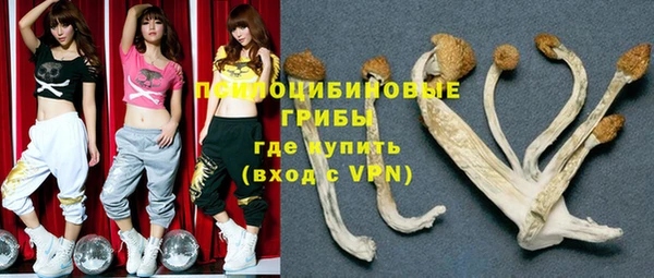 мдпв Михайлов